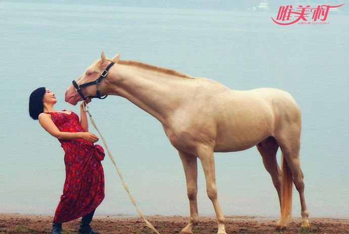 杨舒婷的个人资料老公是谁 孔令辉的新女友吗