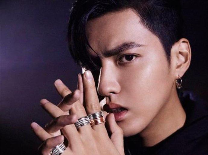 吴亦凡妈妈资料照片 一个人带着吴亦凡加拿大长大