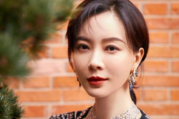 陈数和赵胤胤怎么认识的 两人的爱情生活