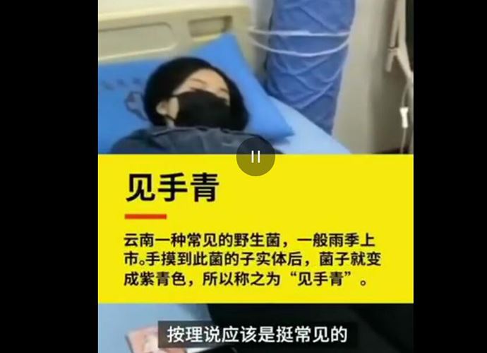 女子吃野生菌后看到小精灵 中毒后出现幻觉吃了什么