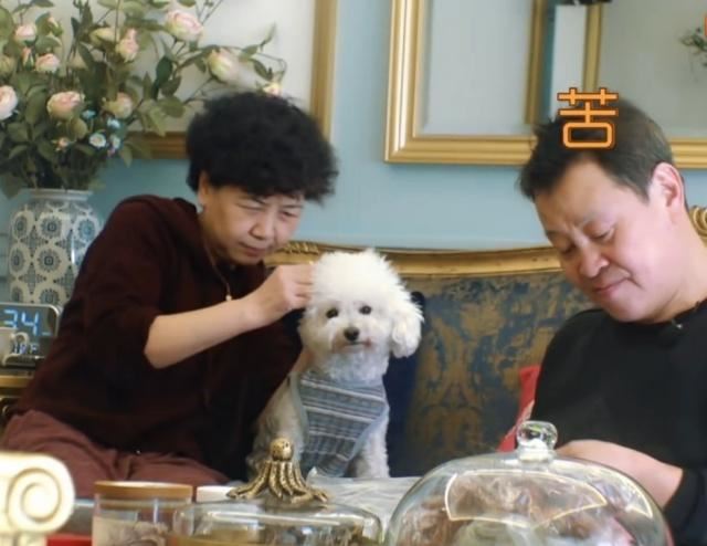 焦俊艳爸爸干什么的 焦俊艳家在哪背景揭秘