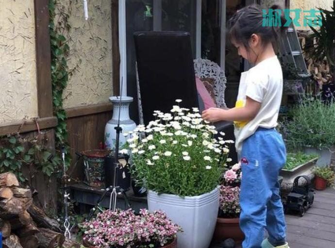 汤唯晒女儿近照 汤唯4岁女儿照片曝光网友惊叹她可爱漂亮