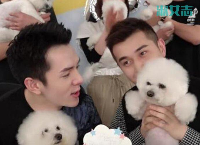 李佳琦小助理回来了 专门回来却不是为了李佳琦