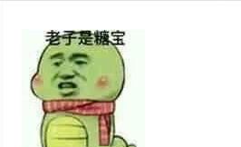 猪儿虫形容人什么意思 猪儿虫是什么意思