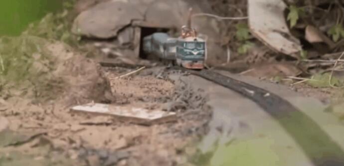 大学生在自家菜地里建微型高铁 民间基建达人曝光惊艳网友