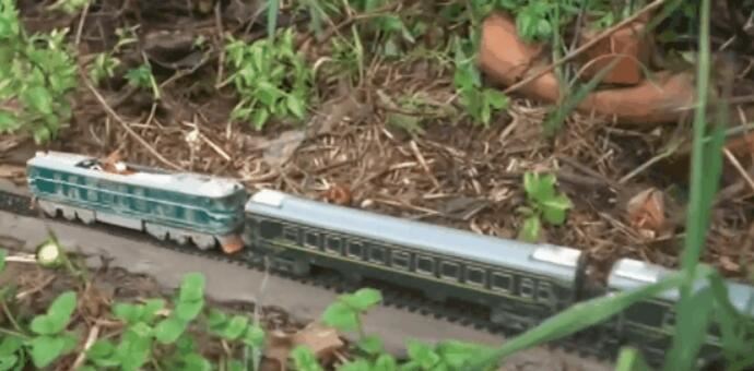 大学生在自家菜地里建微型高铁 民间基建达人曝光惊艳网友