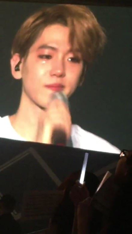 伯贤是不是特别喜欢泰妍 伯贤和泰妍为什么分手