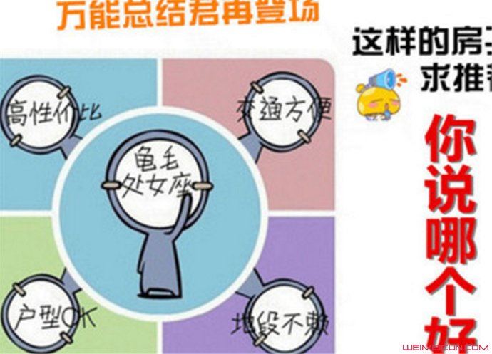 性格龟毛是什么意思 说人龟毛是什么意思