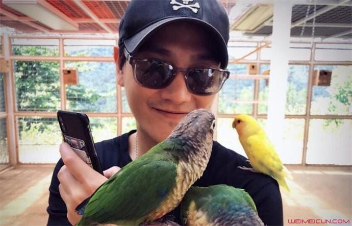 丁子峻与朱虹离婚了 丁子峻与丁子高的关系