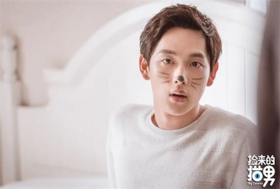 任时完主演的电视剧大全