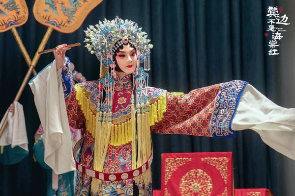 鬓边不是海棠红是bl吗 鬓边不是海棠红什么时候播