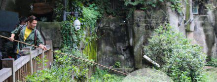 近日谢霆锋提到张柏芝 谢霆锋回应网传谣言