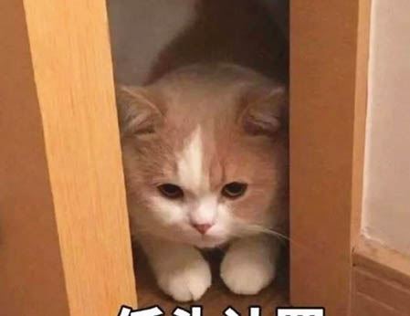 工作996是什么意思 哪些企业在实行996