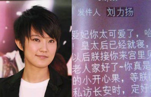 刘力扬个人资料、背景 刘力扬为什么不红