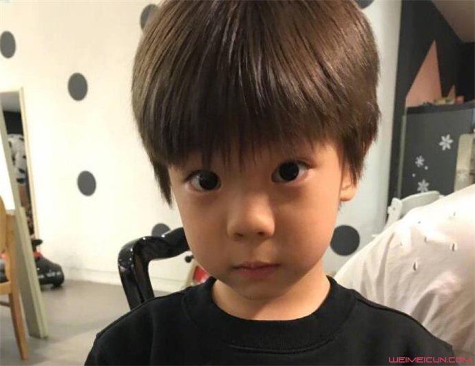 杜宇麒不像杜江吗 杜宇麒2019长什么样子