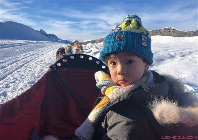 杜宇麒不像杜江吗 杜宇麒2019长什么样子