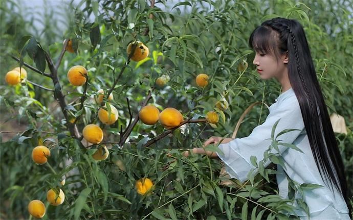 李子柒怎么盈利 怎么看待李子柒文化输出