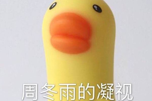 周冬雨小黄鸭对比照 周冬雨的凝视什么意思