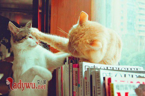 天蝎男会主动挽回感情吗 为什么忍住不联系