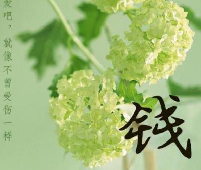 你以为只是个笑话，然而这就是真的