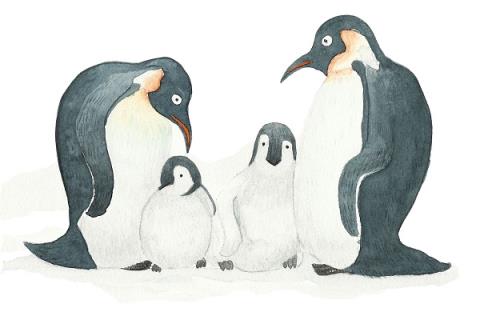 成年人的爱情为什么那么不容易