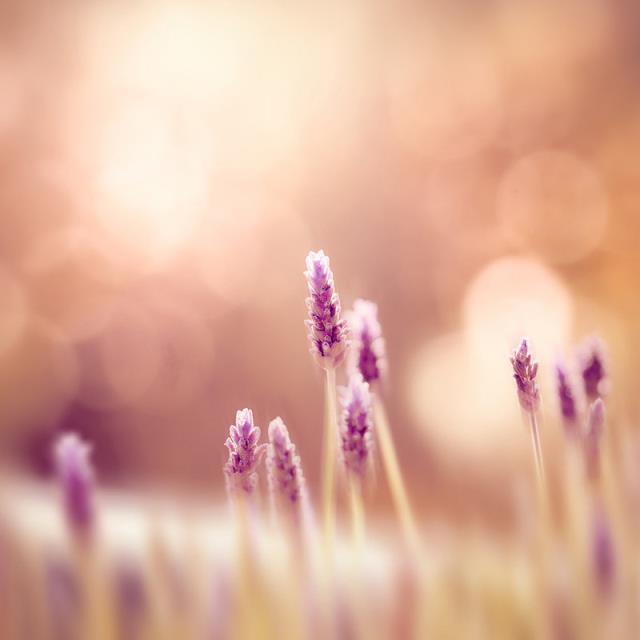 如何学会管理自己的情绪