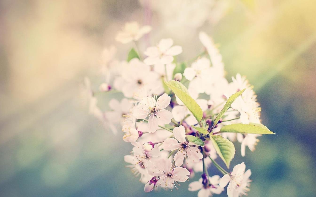 如何学会管理自己的情绪