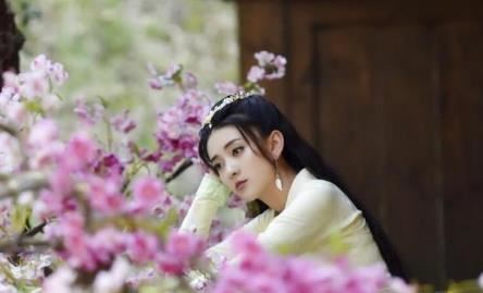 雁归西窗月是小说改编的吗 雁归西窗月原著如梦令真的吗