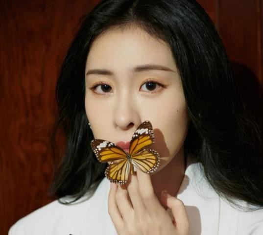 张碧晨不雅视频传闻 张碧晨郑子豪33秒29视频观看