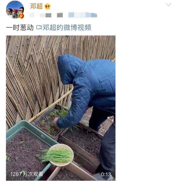 【西看】孙俪陪邓超雨中剪葱 邓超自侃“葱动”逗笑老婆