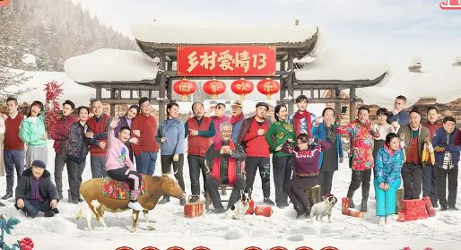 乡村爱情13什么时候上映？