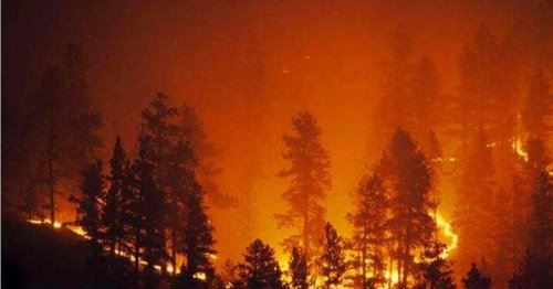 欧洲高温致10死 山火爆发前温度最高可达45.9℃