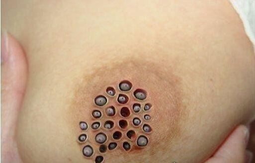 超恶心重口味的米国内裤 美国女子4个月不换内裤(图片)