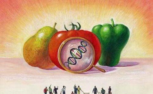 中国在售转基因生物有哪些 一共有5大类17种转基因生物在售