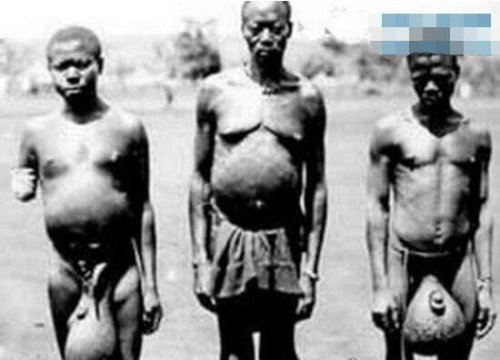非洲原始部落巨阴族的秘密 从小舔食母牛蜜汁直至婚后