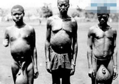 非洲原始部落巨阴族的秘密 从小舔食母牛蜜汁直至婚后