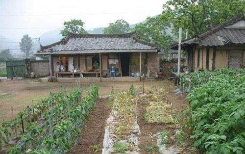 世界上最贱的国家 韩国最爱偷窃中国文化美国的狗腿子