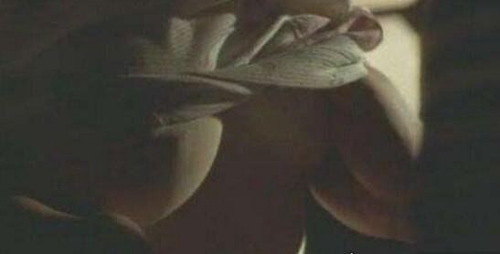 国内外十大豪放女明星走光图片 故意走光给你看