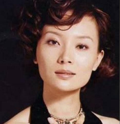 陈数整容前后对比照片曝光 从出道到如今41岁从未停止整容