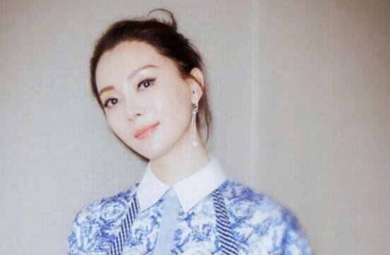 陈数整容前后对比照片曝光 从出道到如今41岁从未停止整容