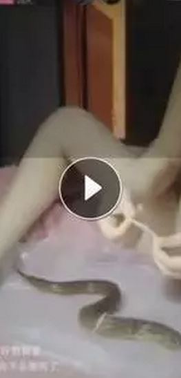 黄鳝主播是什么梗 黄鳝主播琪琪死了吗?琪琪现身辟谣