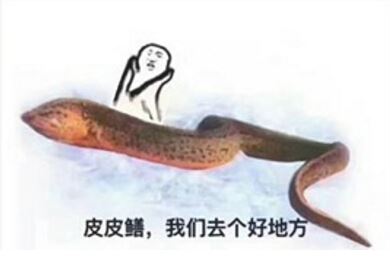 黄鳝主播是什么梗 黄鳝主播琪琪死了吗?琪琪现身辟谣