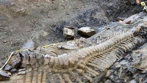 青海湖海底惊现12米巨型真龙 真龙图片曝光震惊众人