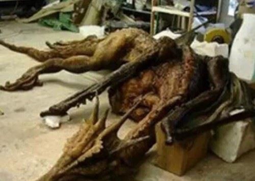 青海湖海底惊现12米巨型真龙 真龙图片曝光震惊众人