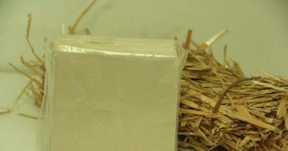 达美航班发搭讪餐巾纸 这一行为引起众多乘客的反感