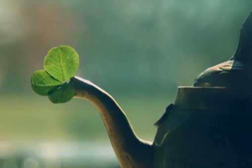 十句预防疾病的口诀