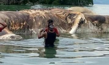 印尼海滩神秘生物 十大神秘生物排行榜