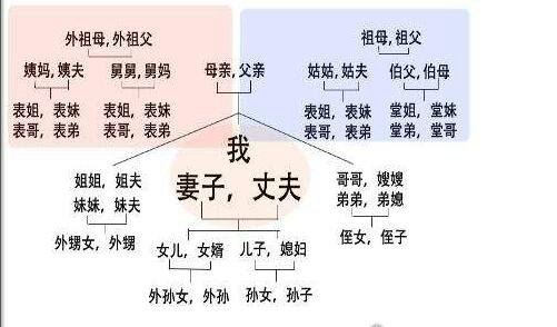 中国人亲戚关系图表 教你轻松搞明白你与亲戚之间的血缘关系