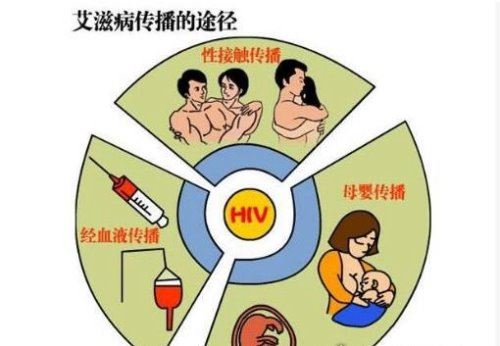 艾滋病起源的罪魁祸首 起源于非洲黑猩猩(之后被人为传播)
