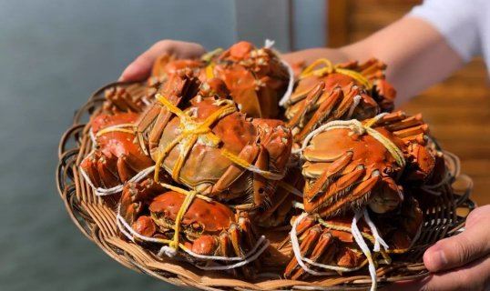 2022阳澄湖大闸蟹几月几号上市